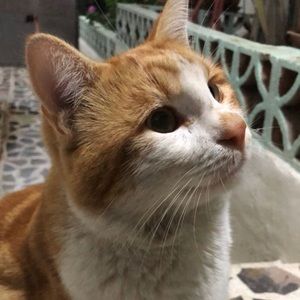 Meet your Posher, Wafa